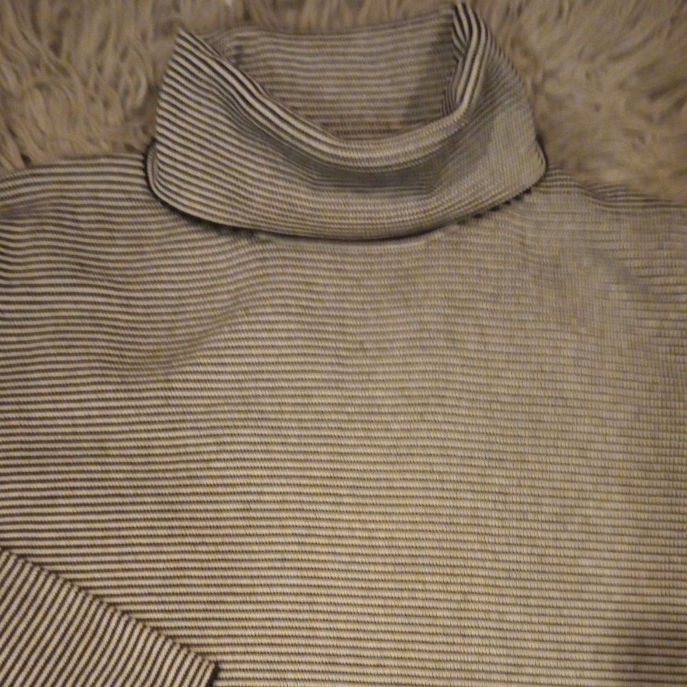 Van Heusen Knit Turtleneck